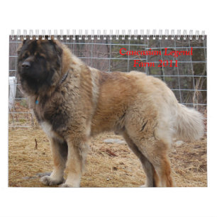 Caucasian legendlantgård kalender