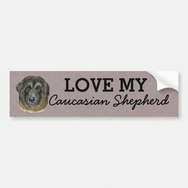 Caucasian Shepherd Bumper Sticker Bildekal (Framsidan)