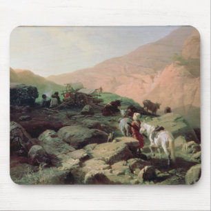 Caucasusen, 1872 musmatta