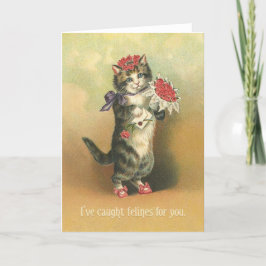 CAUGHT-KATTDJUR - kort för söta Valentineser för r
