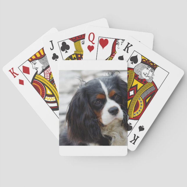 cav 2 casinokort (Baksidan)