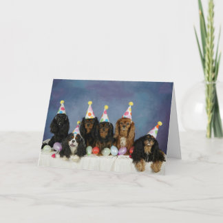 Cav-tastic Birthday Kort