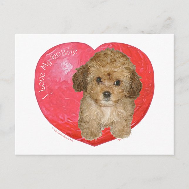 Cavachon Alla hjärtans dag Helg Vykort (Framsida)