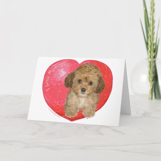 Cavachon Alla hjärtans dag Helgkort (Framsida)
