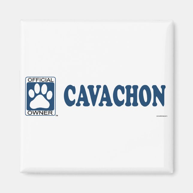 Cavachon Blue Magnet (Framsidan)