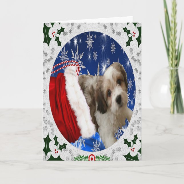 Cavachon Greeting Card, julklapp Hund Helgkort (Framsida)