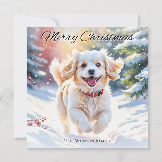 Cavachon Hund I Snö Jul Julkort (Framsida)