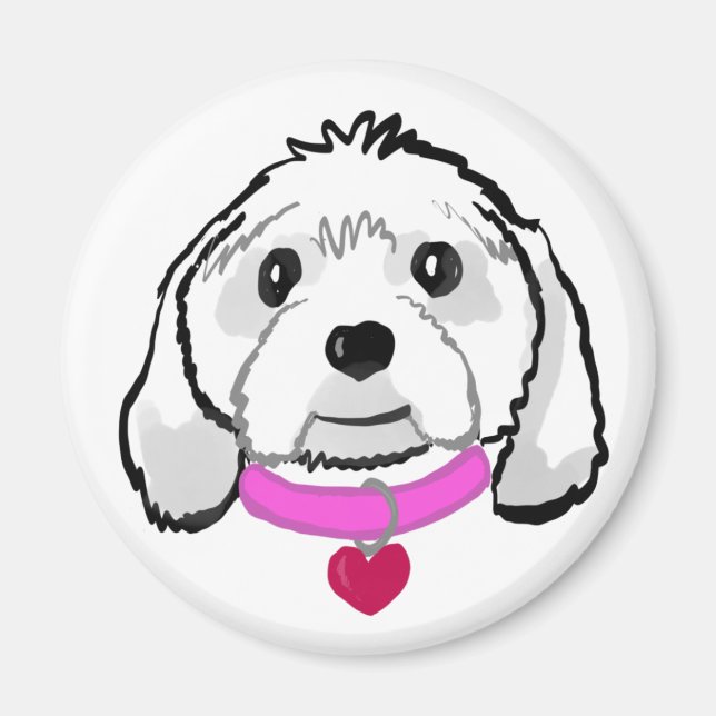 Cavachon Magnet (Framsidan)