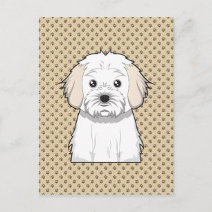 Cavachon Tecknad Vykort