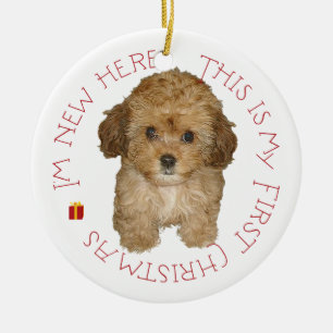 Cavachon-valp första julen julgransprydnad keramik