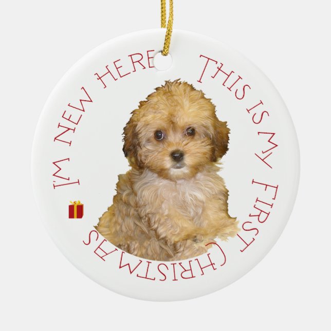 Cavachon-valp första julen julgransprydnad keramik (Framsidan)
