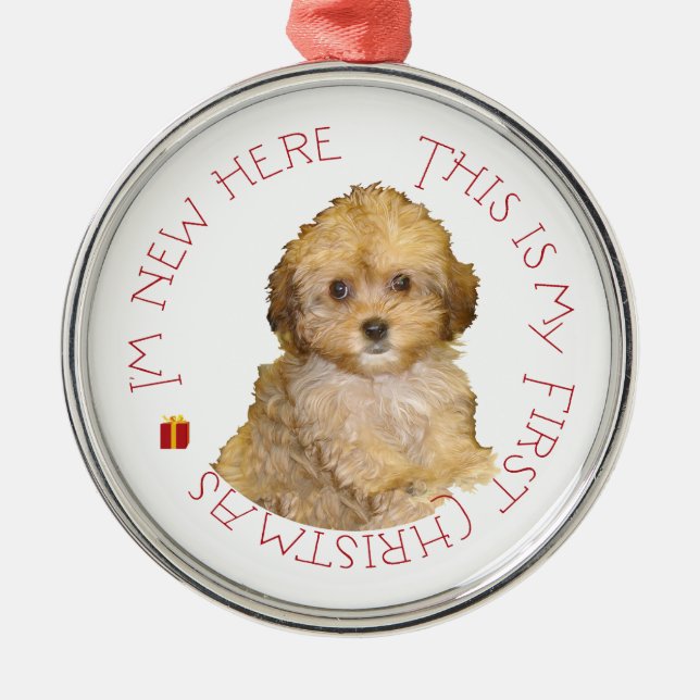 Cavachon-valp första julen julgransprydnad metall (Framsidan)