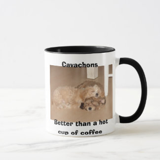 Cavachons som är bättre än en hettkopp av kaffe mugg