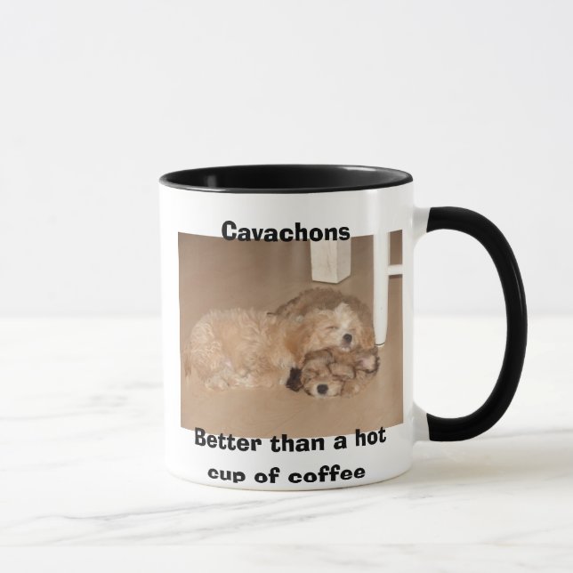 Cavachons som är bättre än en hettkopp av kaffe mugg (Höger)