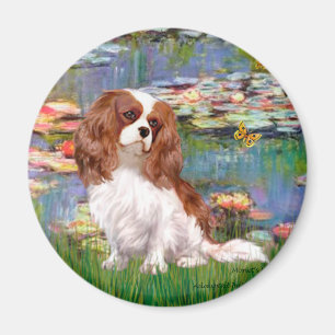 Cavalier 2 (bl) - Lilier 2 Magnet