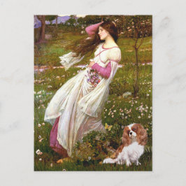 Cavalier 2 (Bl) - Windflowers Vykort