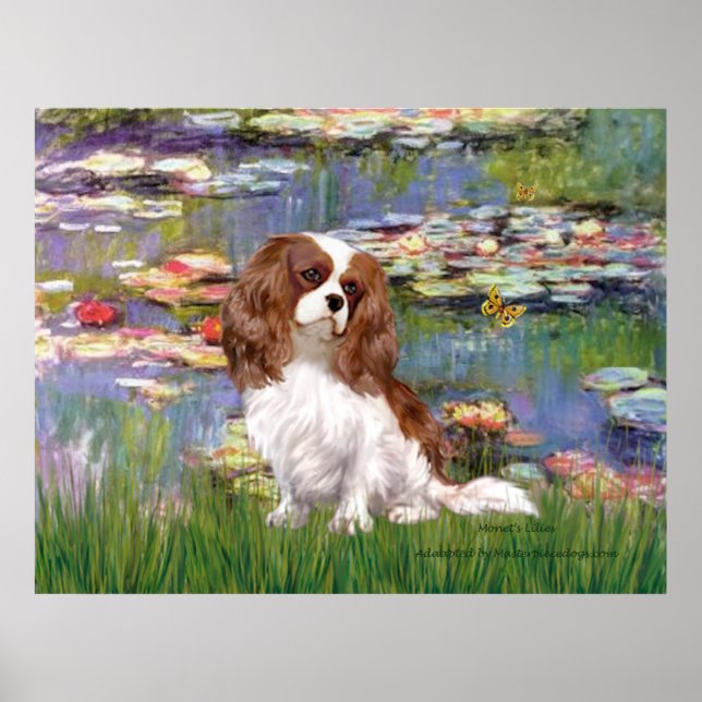 Cavalier 2 (blenheim) - Näckrosor 2 Poster (Framsidan)