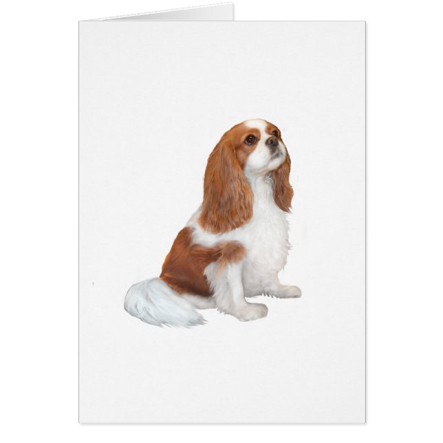 Cavalier A1 - Blenheim (F) Hälsningskort (Framsidan)