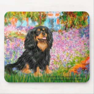 Cavalier (BT) - Garden Musmatta