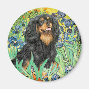 Cavalier (BT) - Iriser Magnet