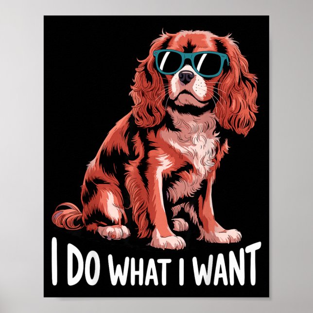 Cavalier King Charles Art For Men Women Cavalier S Poster (Framsidan)