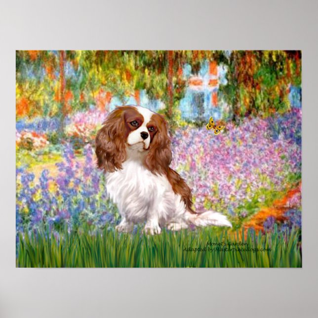 Cavalier King Charles (Blenheim) - Trädgård Poster (Framsidan)