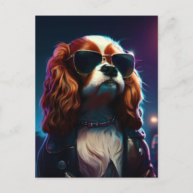 cavalier king charles dans la rue avec un blouson  vykort (Framsida)