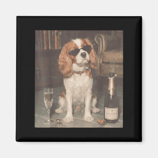 Cavalier King Charles dricker Champagne Roligt Magnet