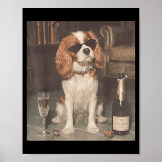 Cavalier King Charles dricker Champagne Roligt Poster