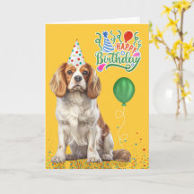 Cavalier King Charles Födelsedags hatt Gul