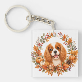 Cavalier King Charles Höst