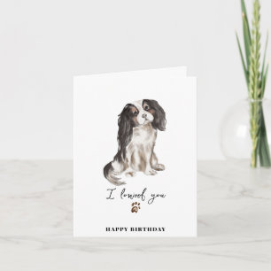 Cavalier King Charles Hund Tass Valp Husdjur Födel Kort