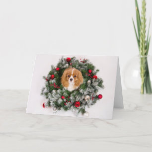 Cavalier King Charles julkrans kort