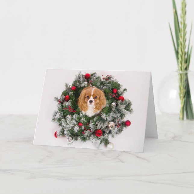 Cavalier King Charles julkrans kort (Framsida)