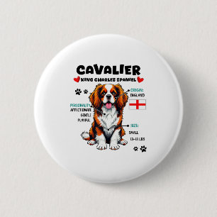 Cavalier King Charles Spaniel Ägare Rolig Hund Kär Knapp