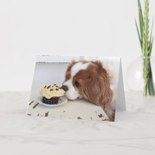 Cavalier King Charles Spaniel Fredags Cupcake Kort