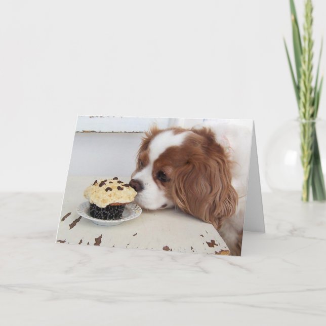 Cavalier King Charles Spaniel Fredags Cupcake Kort (Framsida)