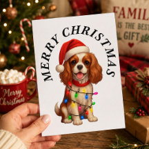 Cavalier King Charles Spaniel God Jul