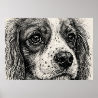 Cavalier King Charles Spaniel Grafitpennstav Post Poster