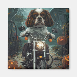 Cavalier King Charles Spaniel Halloween Skräckinja Magnet