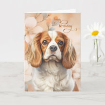 Cavalier King Charles Spaniel Hund Blossom Födelse