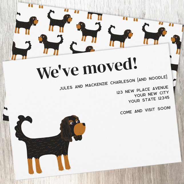 Cavalier King Charles Spaniel Hund Byter Ny Hem Meddelande (Cavalier King Charles Spaniel dog moving new home change of address announcement)