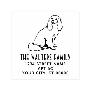 Cavalier King Charles Spaniel Hund Namn Adress Självfärgande Stämpel