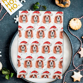 Cavalier King Charles Spaniel Hundras Jul Kökshandduk