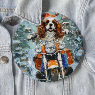 Cavalier King Charles Spaniel jul Knapp