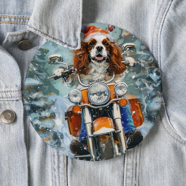Cavalier King Charles Spaniel jul Knapp (In Situ)