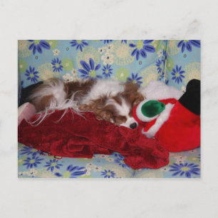 Cavalier King Charles Spaniel Jul överbelastning Helg Vykort