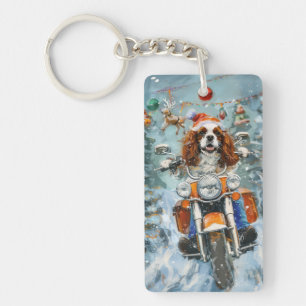 Cavalier King Charles Spaniel julen