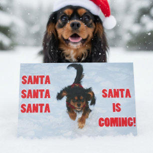 Cavalier King Charles Spaniel julen Helgkort
