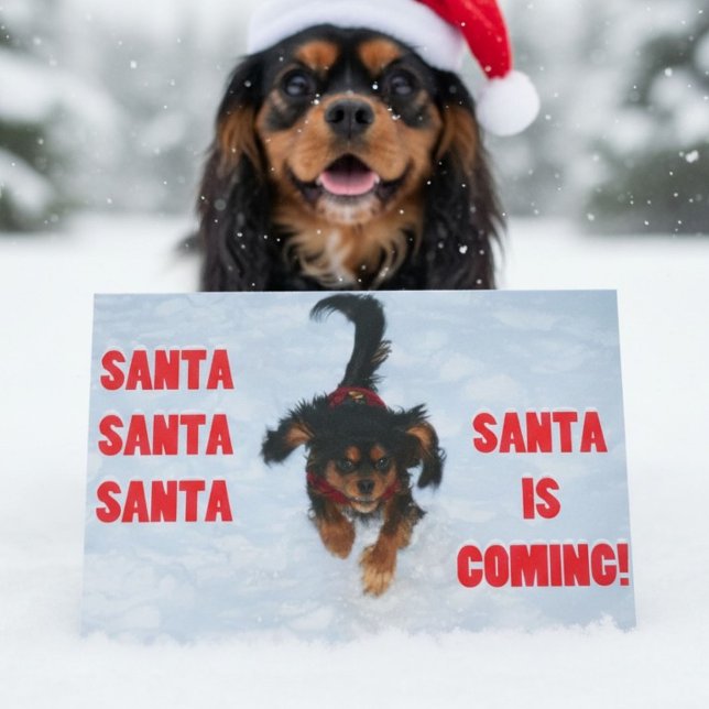 Cavalier King Charles Spaniel julen Helgkort (Skapare uppladdad)